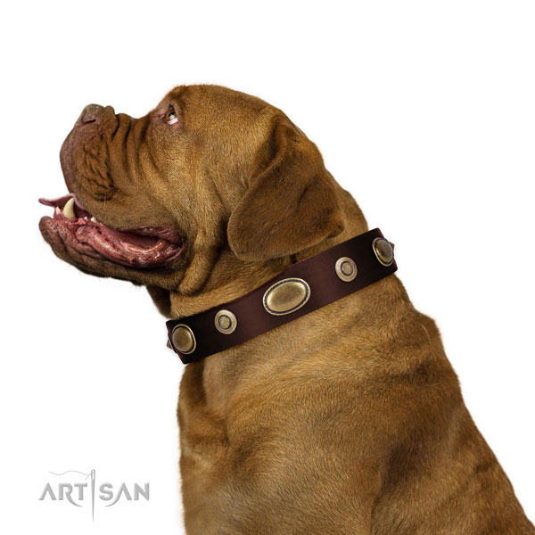 Dogue de Bordeaux in berde roze halsband hond