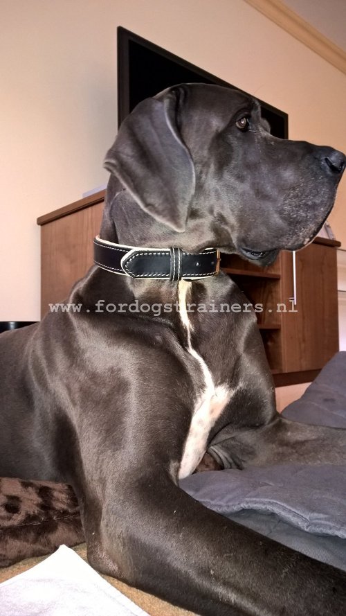 Lederen Nappa Halsband voor Duitse Dog