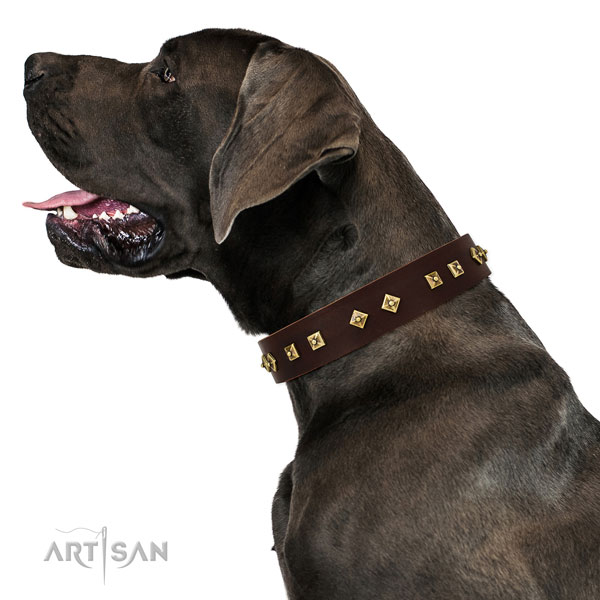 Duitse Dog brede mooie hondenhalsband