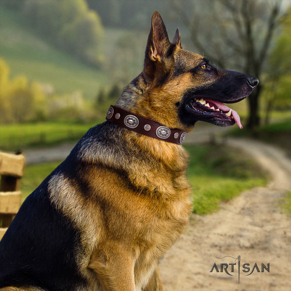 Artisan Collection exclusieve hondenhalsbanden