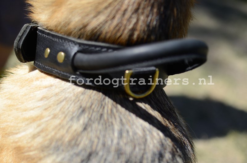 Agitatie Lederen hond | Duitse Herder - €63.7