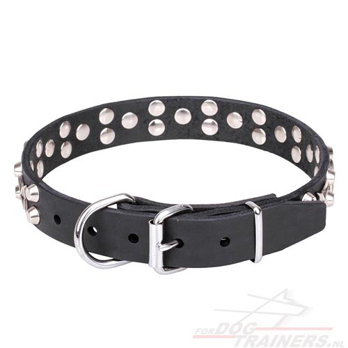 Halsband voor
honden met Studs