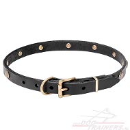 Leren Honden Halsband " Golden Daisy"