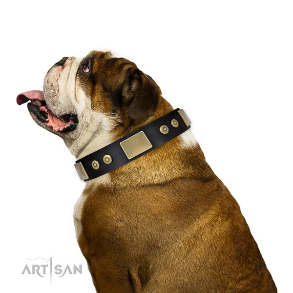 Zwart leer versierde halsband hond