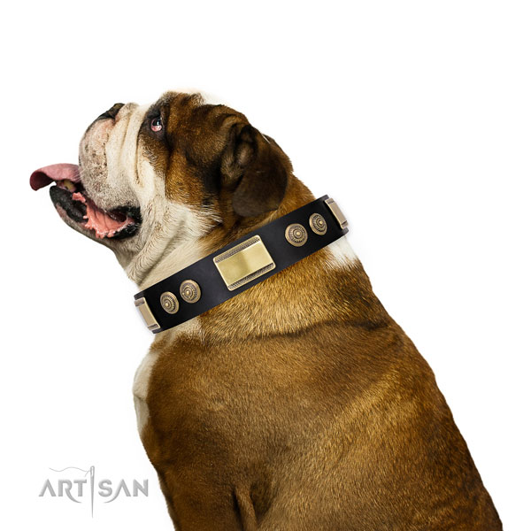 Engelse bulldog brede mooie hondenhalsband