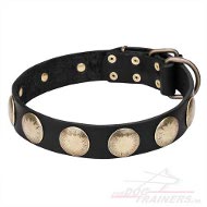 Honden Halsband Echte leer Goudkleurige ornaments Honden Halsband Echte leer Goudkleurige ornaments