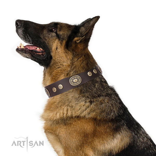 Lederen hondenhalsband Artisan Collection