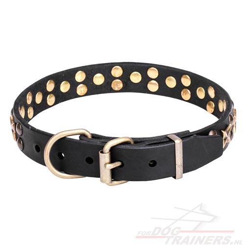 Halsband met
Studs