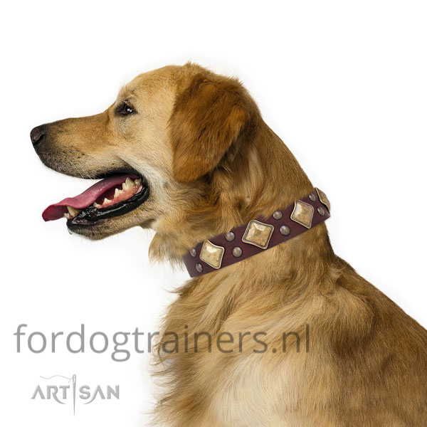Golden-Retriever in bruine honden halsband Artisan