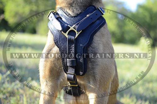 Lederen Tuig met Voering voor de
Hond met Opgevulde Borst Plaat