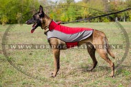 Malinois hondenjas voor wandelen