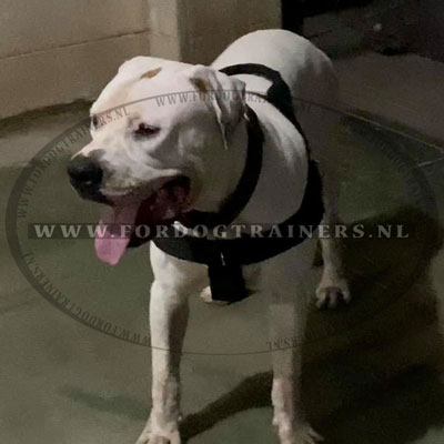 Ons
product op de Hond van de Klant