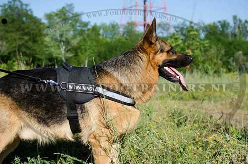 Nylon hondentuig voor puppy's Duitse herders maat XS