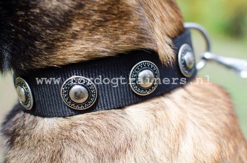 Universele nylon halsband voor
actieve honden zoals Belgische Herder