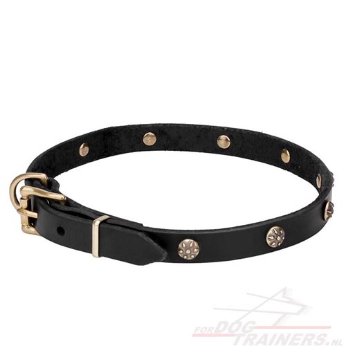 Tear-and-wear Resistant Dog Collar