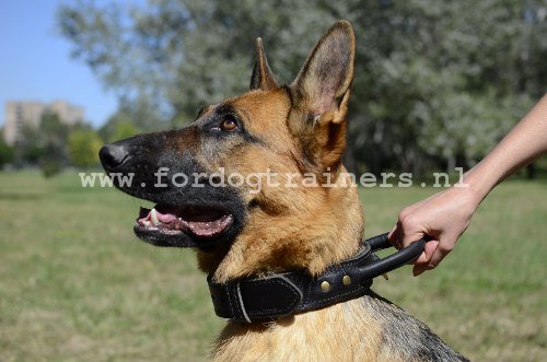 Halsband voor agitatie werk met Herder