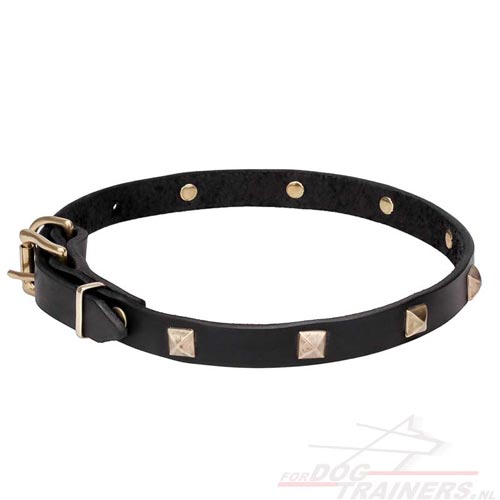 honden halsband weg loppen