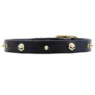 Honden Halsband met Messing Spikes en Schedles "Rock the Goth" Honden Halsband met Messing Spikes en Schedles "Rock the Goth"