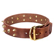 Brutale Lederen Honden Halsband
met Twee Rijen van Goudachtige Spikes en Schedels