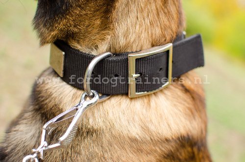 Halsband grote hond Herder