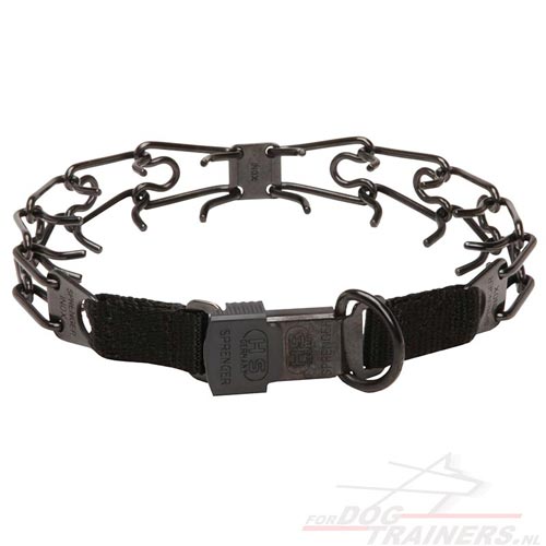 Zwarte Pinch
Honden Halsband