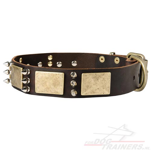 Lederen Halsband met Spikes en Platen