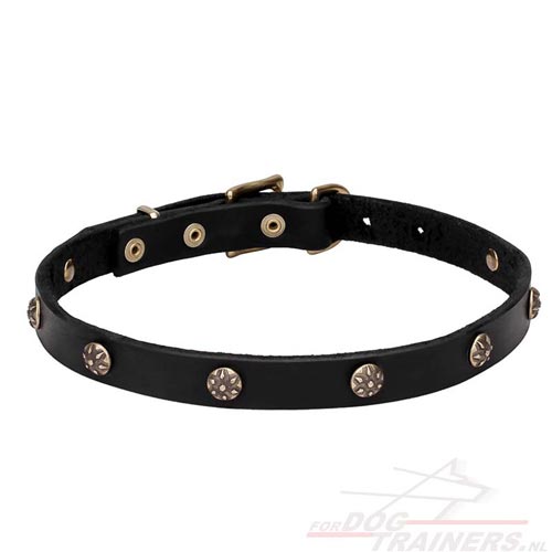 Dog Collar 