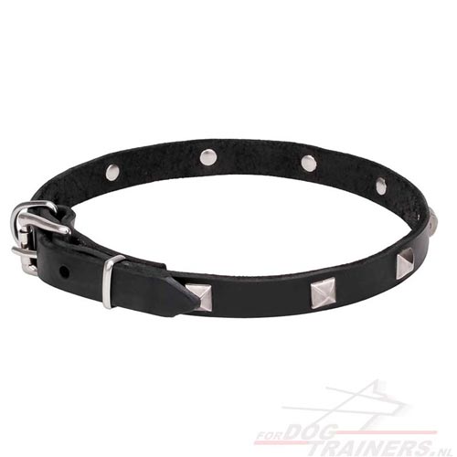 Tear-and-wear Resistant Dog Collar