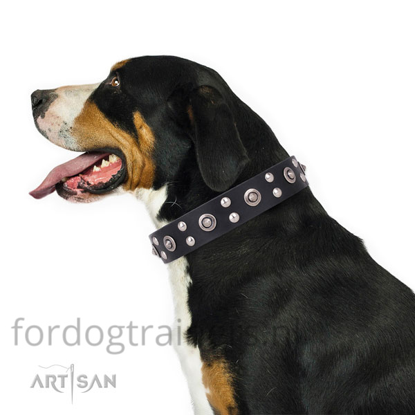Grote Zwitserse sennenhond in zwarte honden halsband Artisan