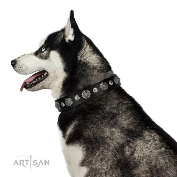 Husky in roze lederen hondenhalsband