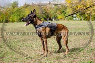 Malinois Hondentuigje van Nylon