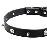 Honden Halsband met Vernikkelde Schedels en Spikes "Piraat" Honden Halsband met Vernikkelde Schedels en Spikes "Piraat"