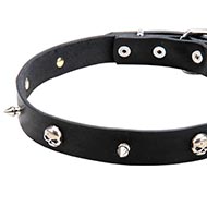 Honden Halsband met Vernikkelde Schedels en Spikes "Piraat"