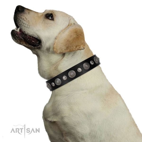 Labrador hondenhalsband leer met studs