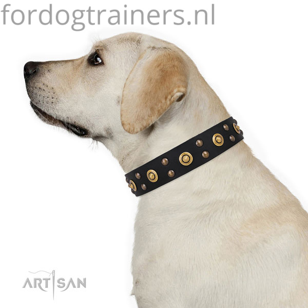 Labrador lederen zachte hondenhalsband