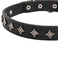 Nauwe Lederen Halsband voor Honden "Interstellar"