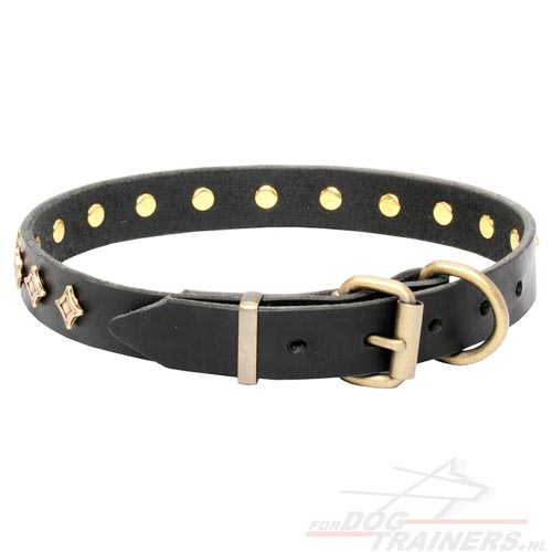 Zwarte
Lederen Honden Halsband