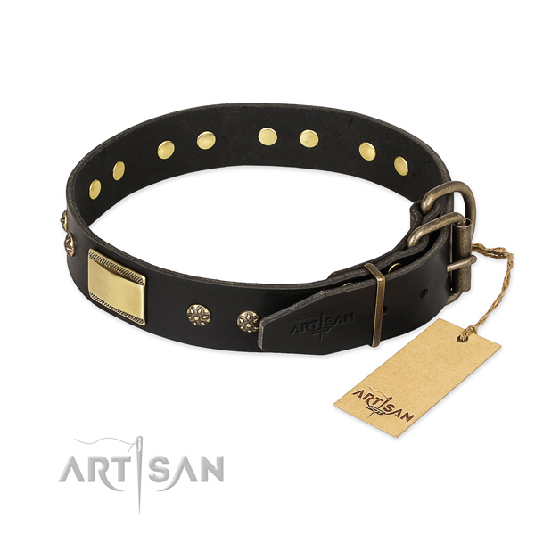 Hondenhalsband eenvoudige design met leuke studs