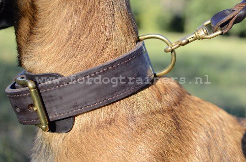 sterke agitatie Honden Halsband