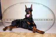 MKoninklijke Halsband voor Dobermann