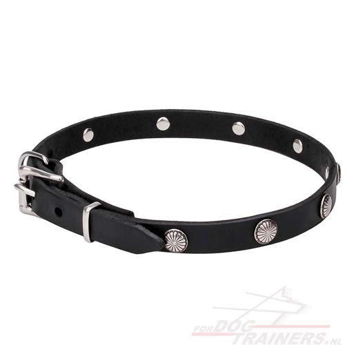 honden leren halsband 