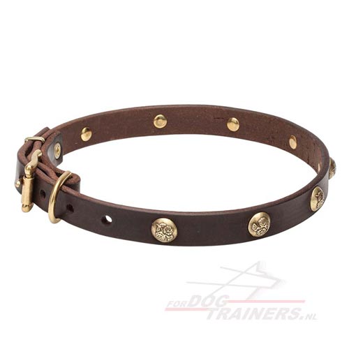 Lederen Honden Halsband met Sterke
Hardware