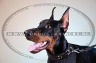 Dobermann Halsband 22 mm met zachte vulling