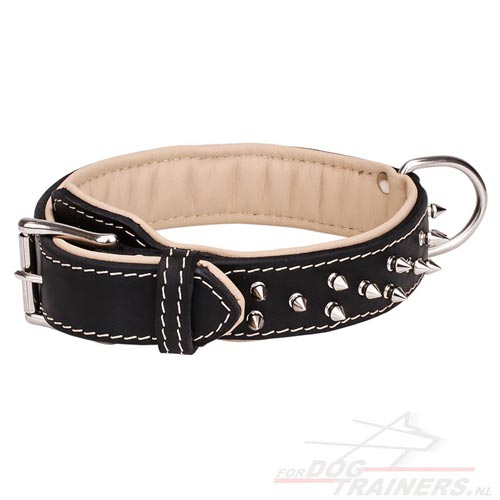 Halsband met Studs