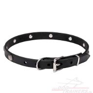 Exclusieve halsband met gegraveerde bloemen Exclusieve halsband met gegraveerde bloemen