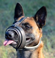 Nappa Leer Muilkorf voor Malinois