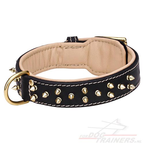 Halsband voor Wandelingen
met messing spikes