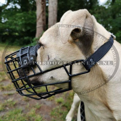 leren muilkorf van
nikkel draad voor grote honden