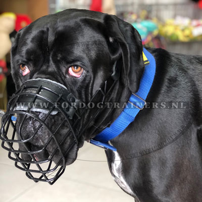 Draadmuilkorf voor Cane Corso, met rubber bekleed - Klik op de afbeelding om het venster te sluiten