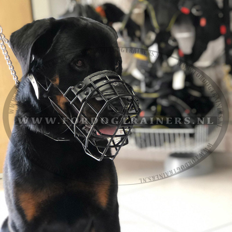 Rottweiler Draad Hond voor de winter met rubberen hoes [M10##1106 Muilkorf voor Rottweil] Hondenwinkel met keuze van muilkorven, tuigen en halsbanden!